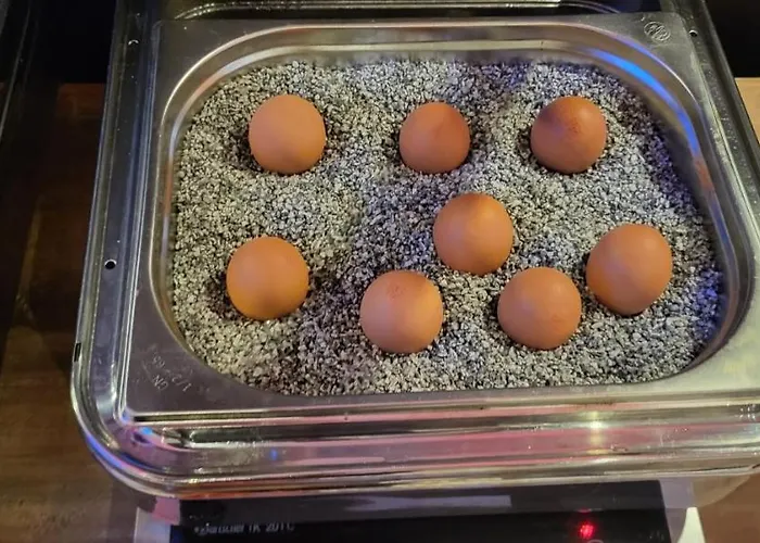 Hotel Dormero Hannover-langenhagen Airport Langenhagen (Hannover)